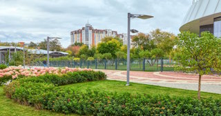Профессиональное озеленение улиц в Сестрорецке в октябре